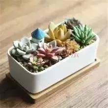 辦公室風(fēng)水禁忌&催財(cái)運(yùn)**！新的一年加薪看這里！