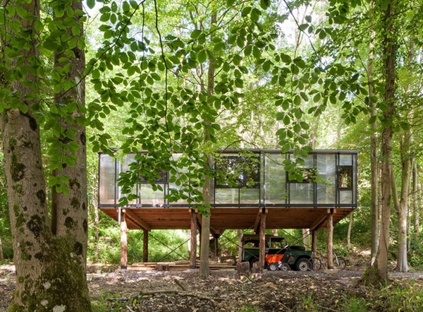 森林中的辦公室裝修也可以很有愛！