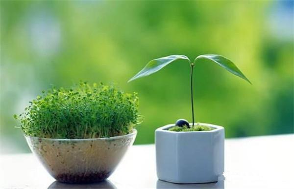 1477884437926825.jpg 圖片2.jpg